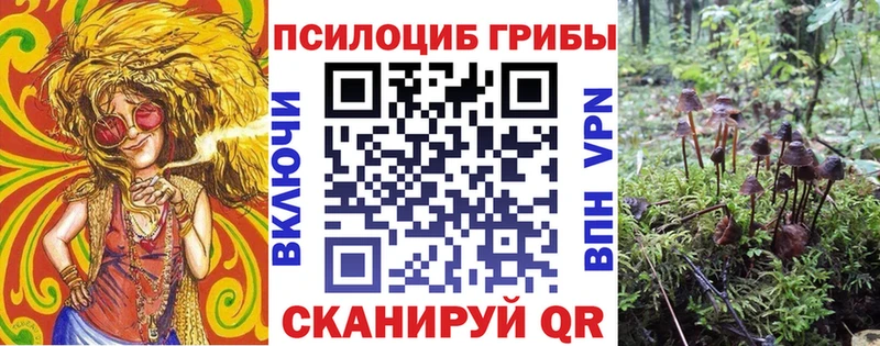 Галлюциногенные грибы прущие грибы  Купить  Козельск 