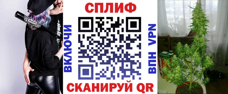 Шишки марихуана план  Купить где  Козельск 